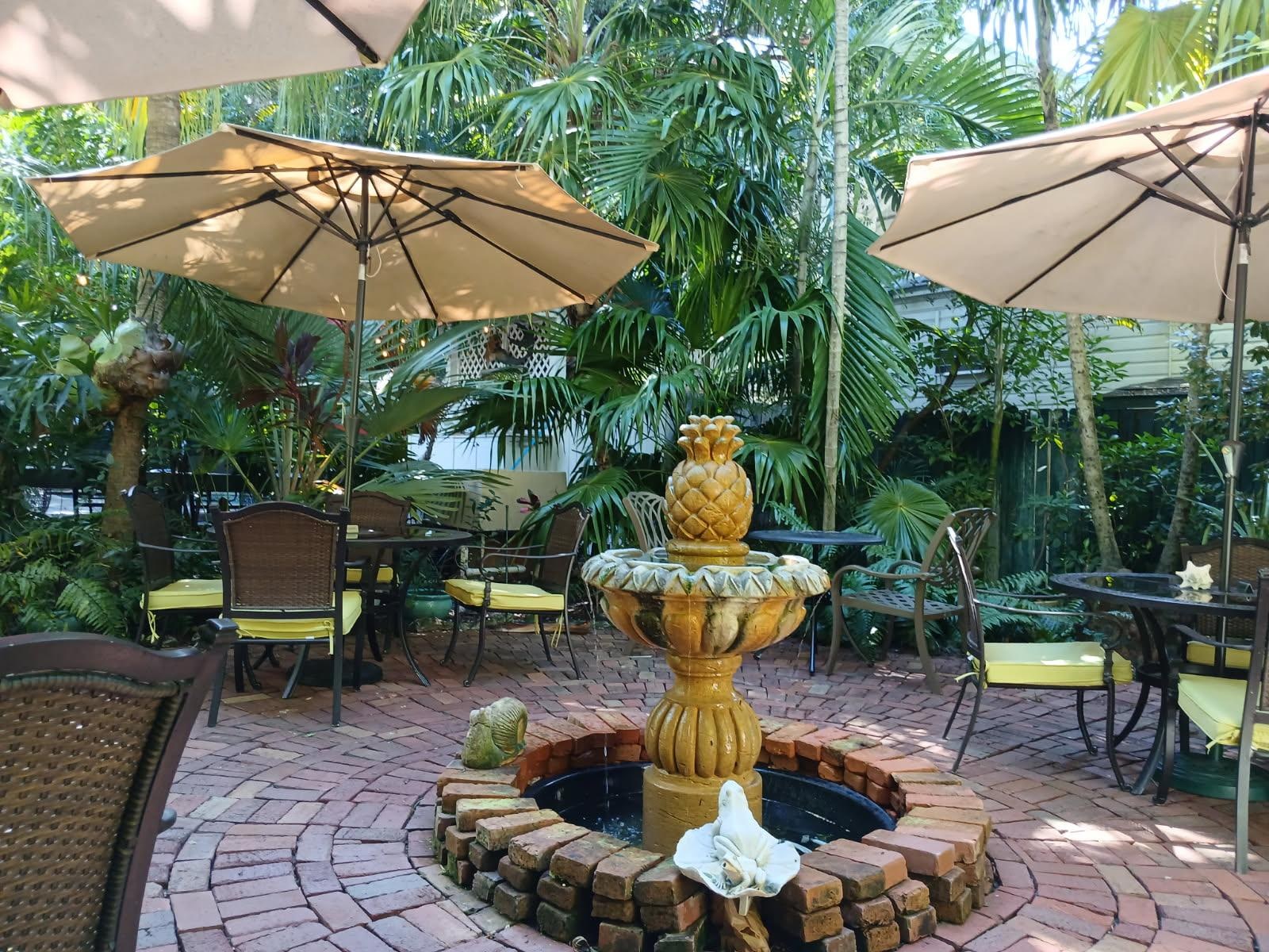 Garden area to have breakfast!