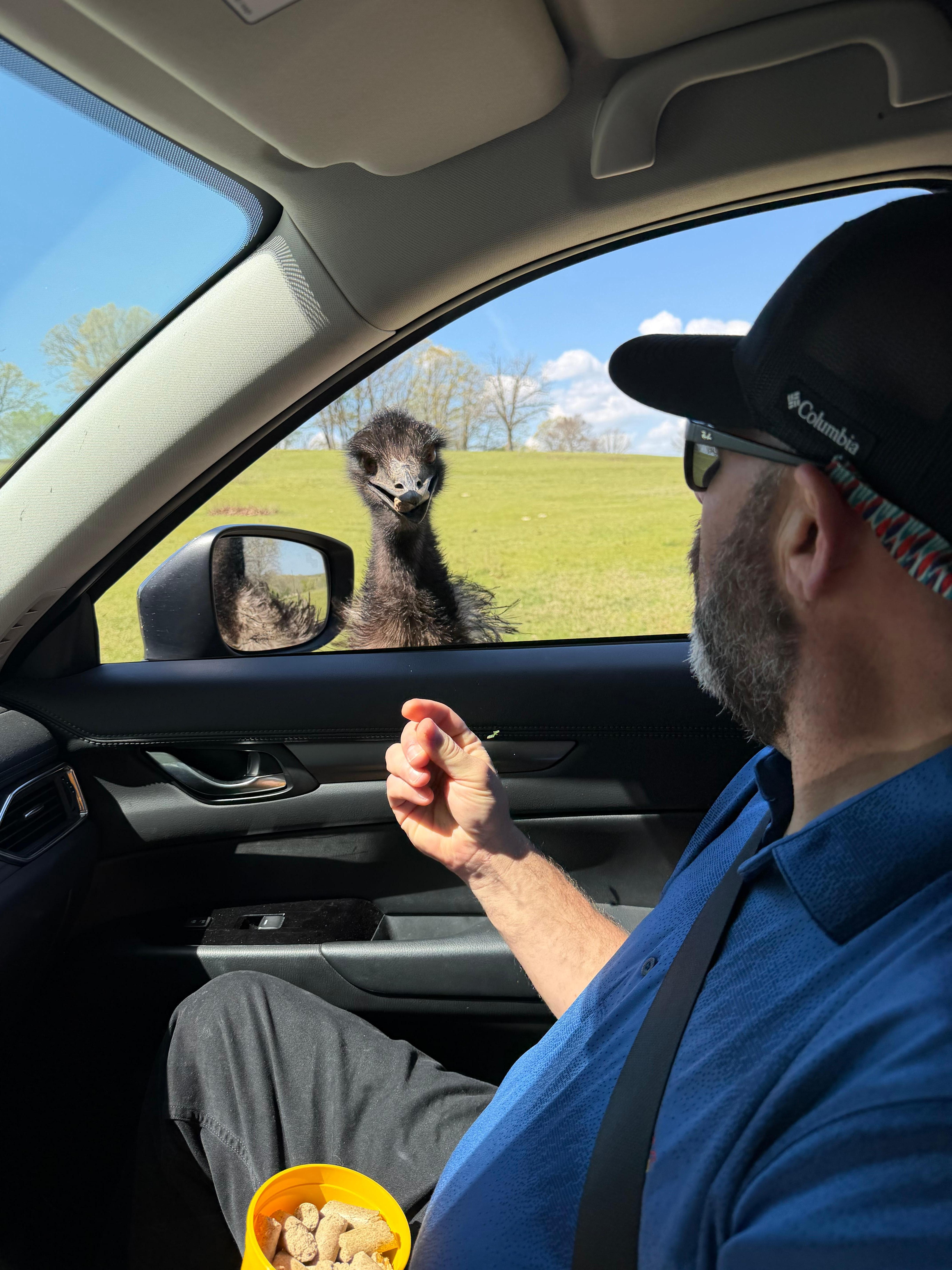 The emu was hilarious. 