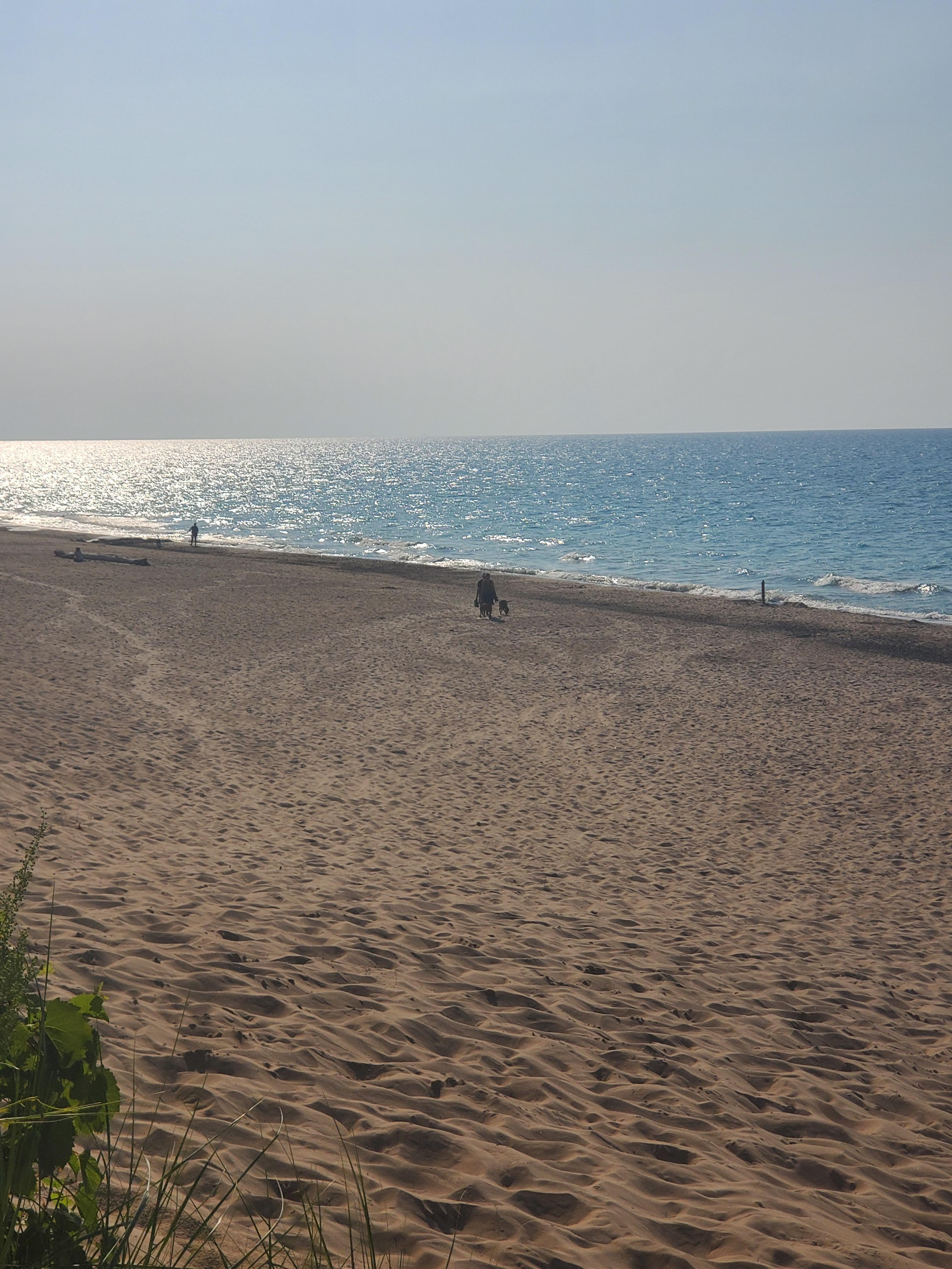 Indiana dunes