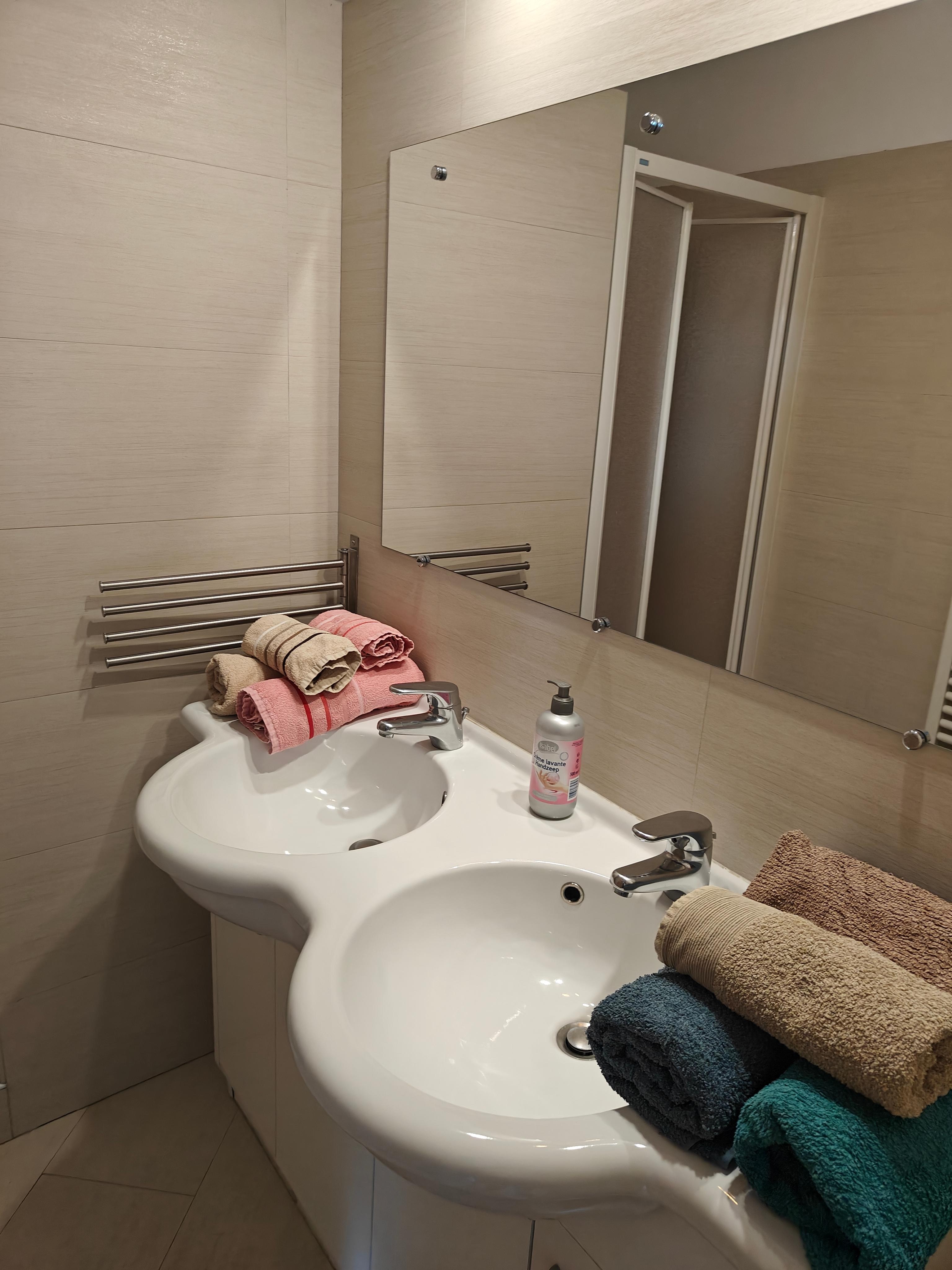 Double vasque de la salle de bains 