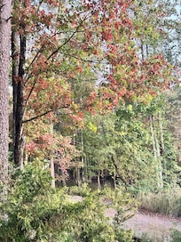 Leaves were just beginning to change