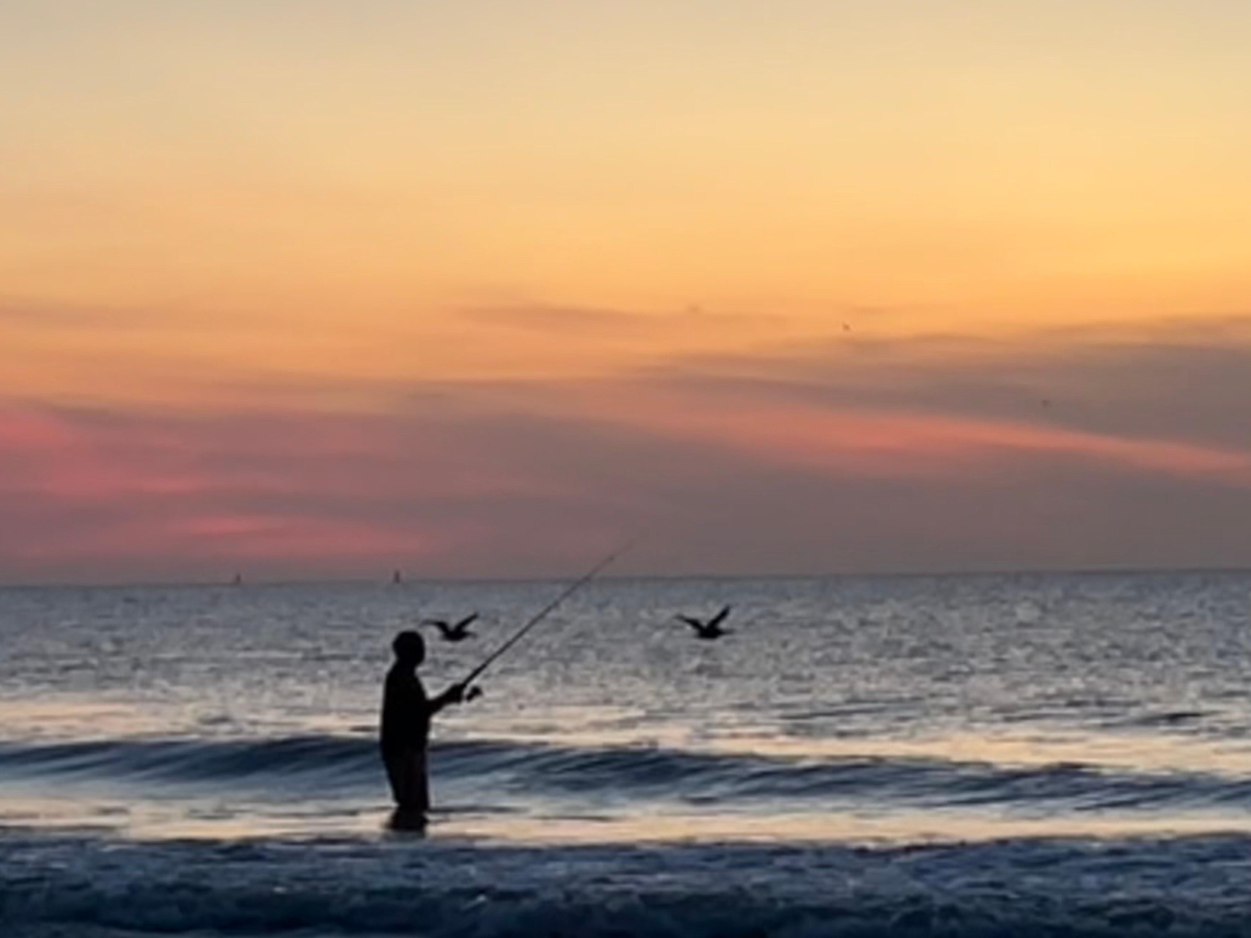 Sunrise surf fishing at low tide. 

Sea gulls, brown pelicans, and dolphins!