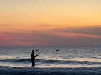 Sunrise surf fishing at low tide.
Sea gulls, brown pelicans, and dolphins!
