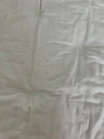 Dirty bed