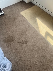 Stain on carpet