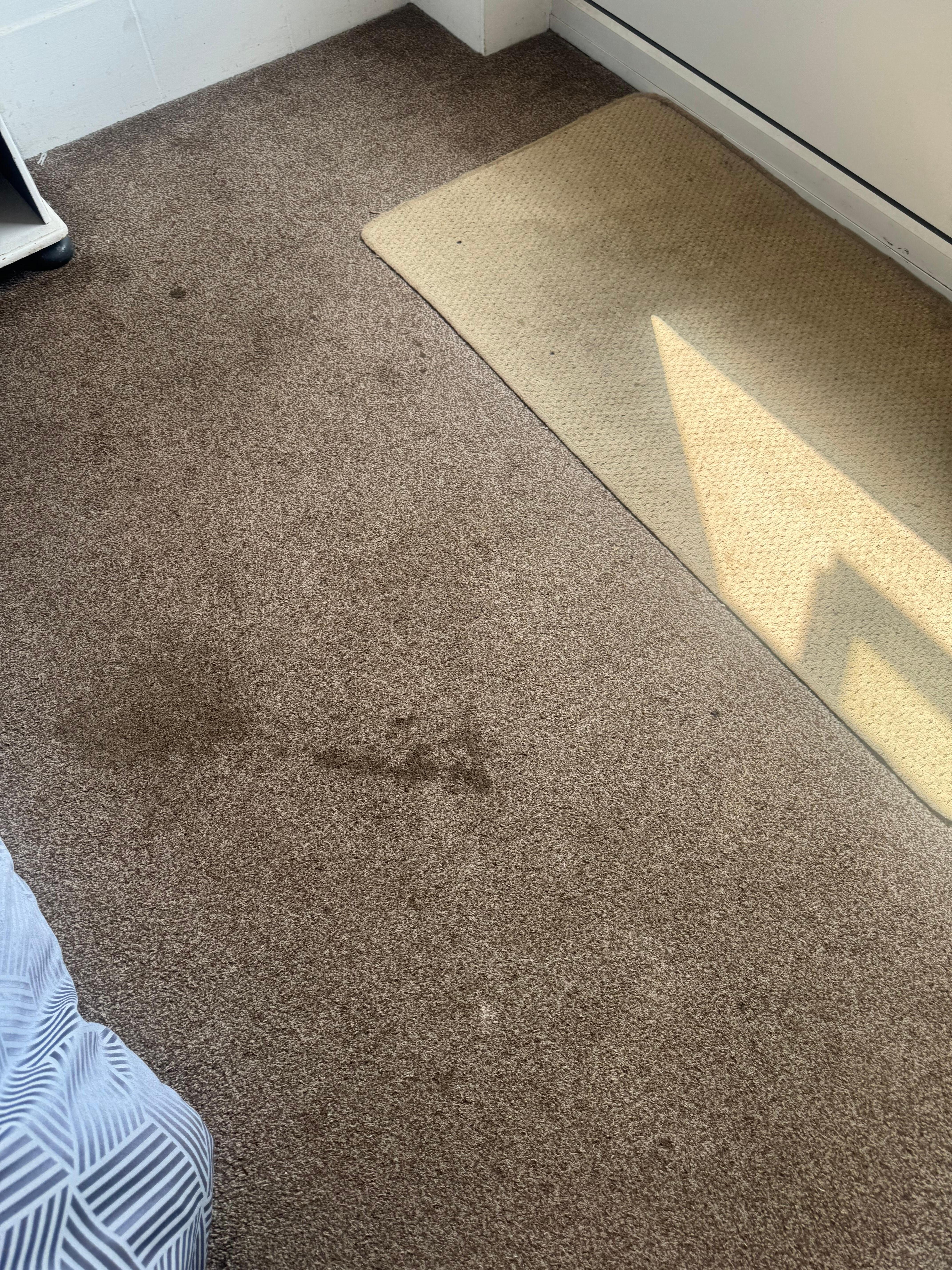 Stain on carpet 