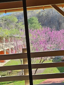 View from our room in April.