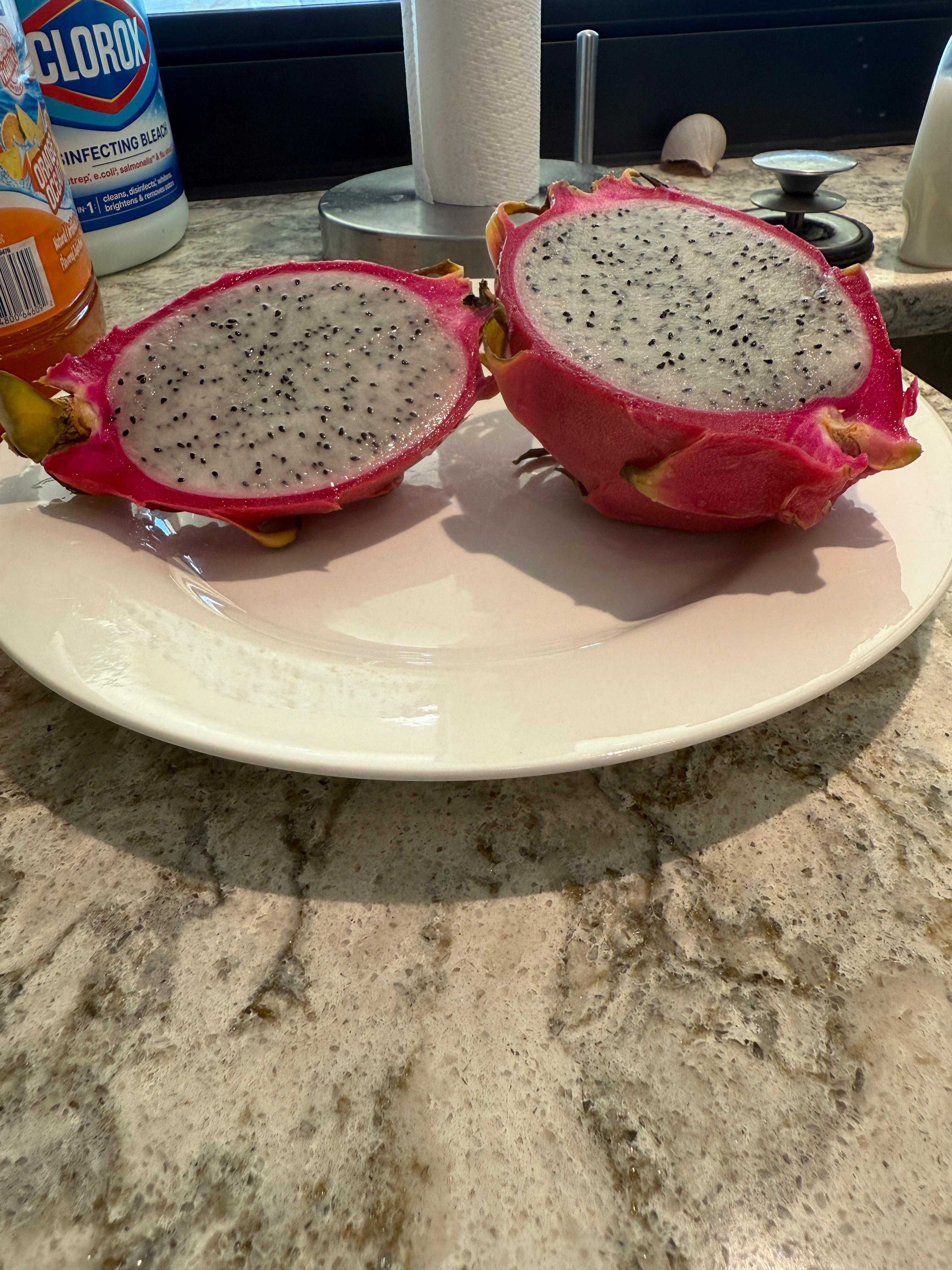 Dragon fruit from seed to Table