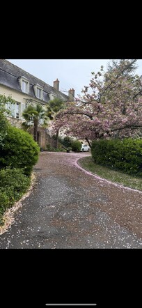 The view when you walk in from the entry gate..