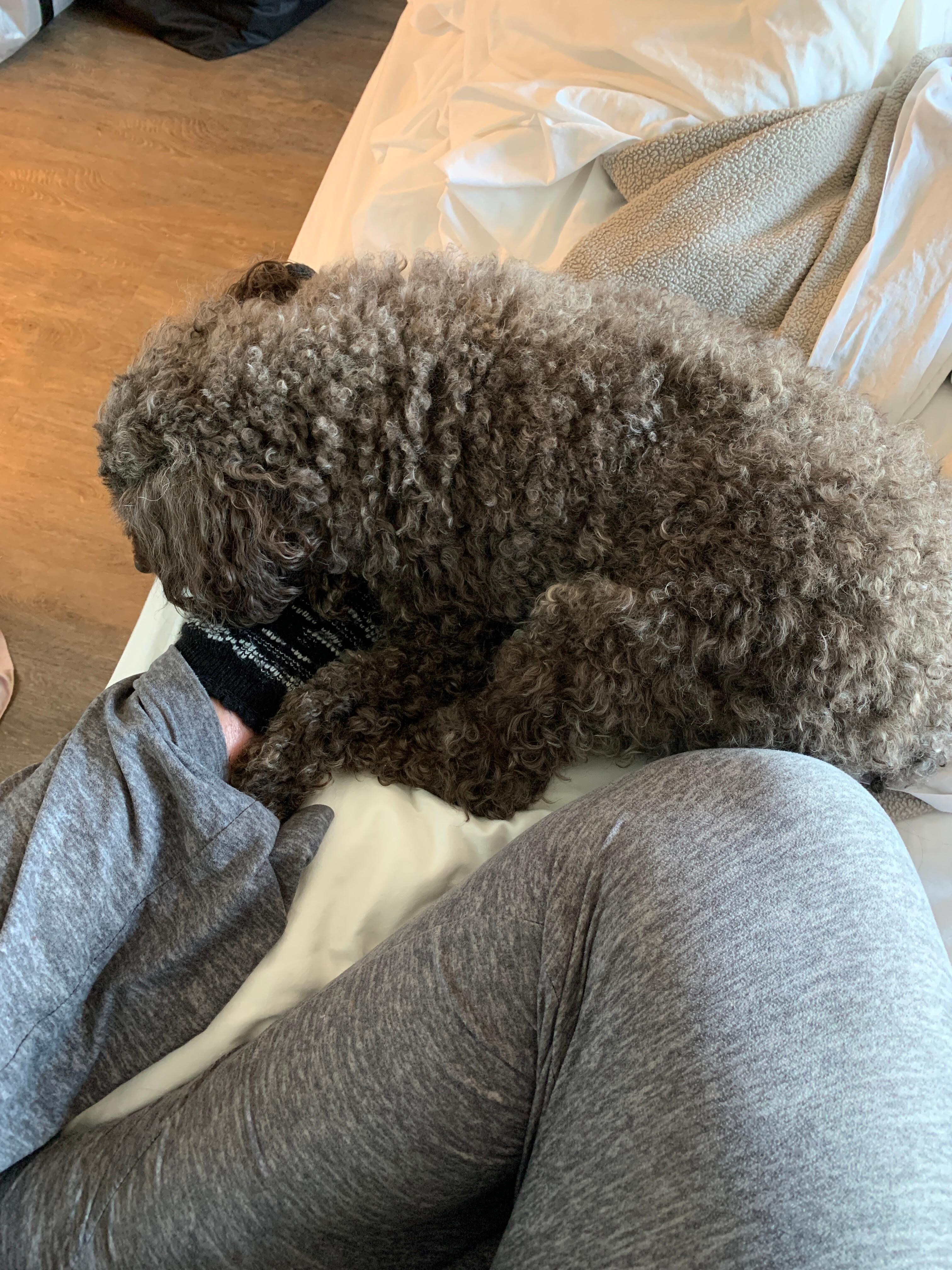 My Clair asleep on my foot so she will know when I get up.