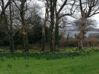 Der verwunschene Garten