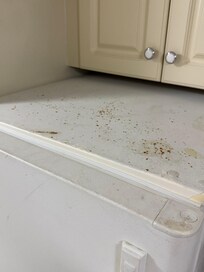 Top of refrigerator
