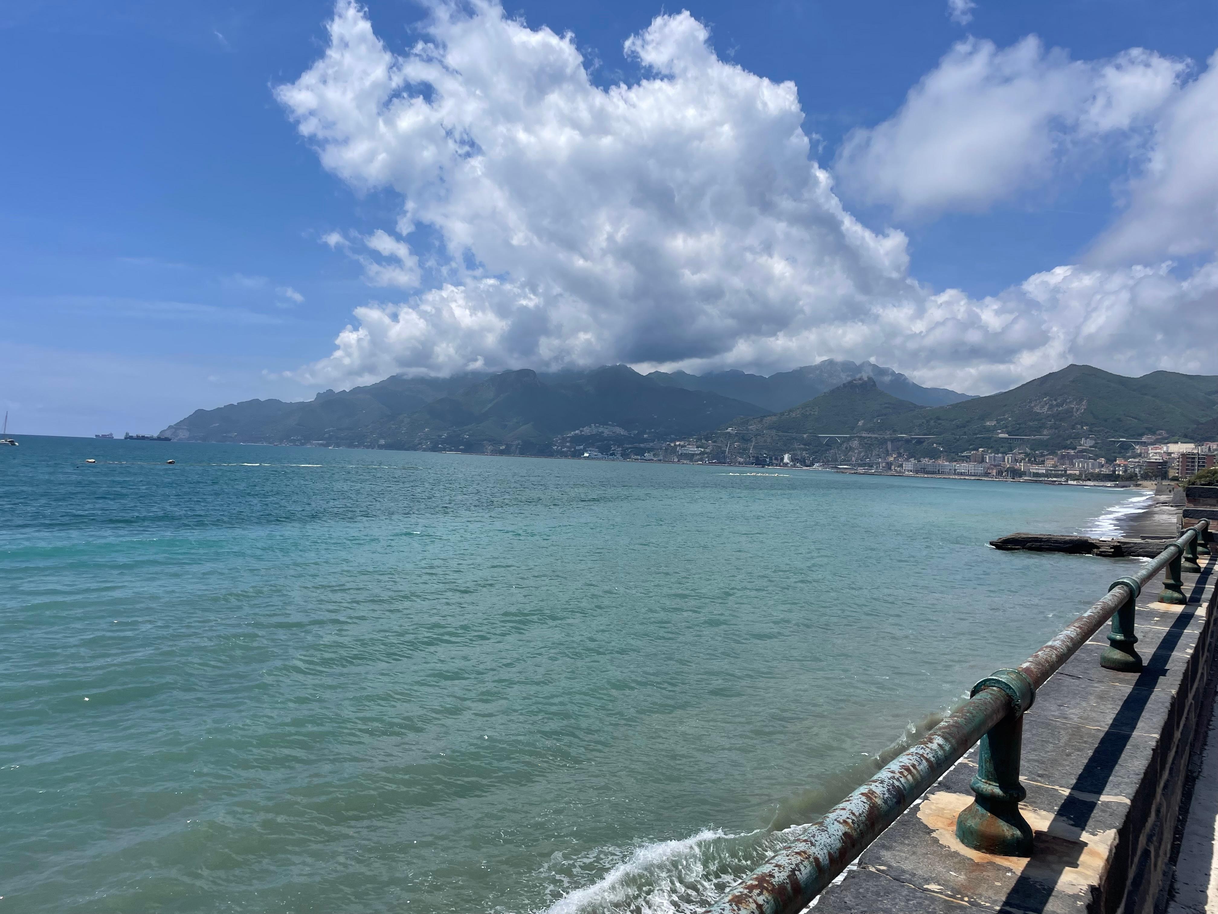 Along the bay