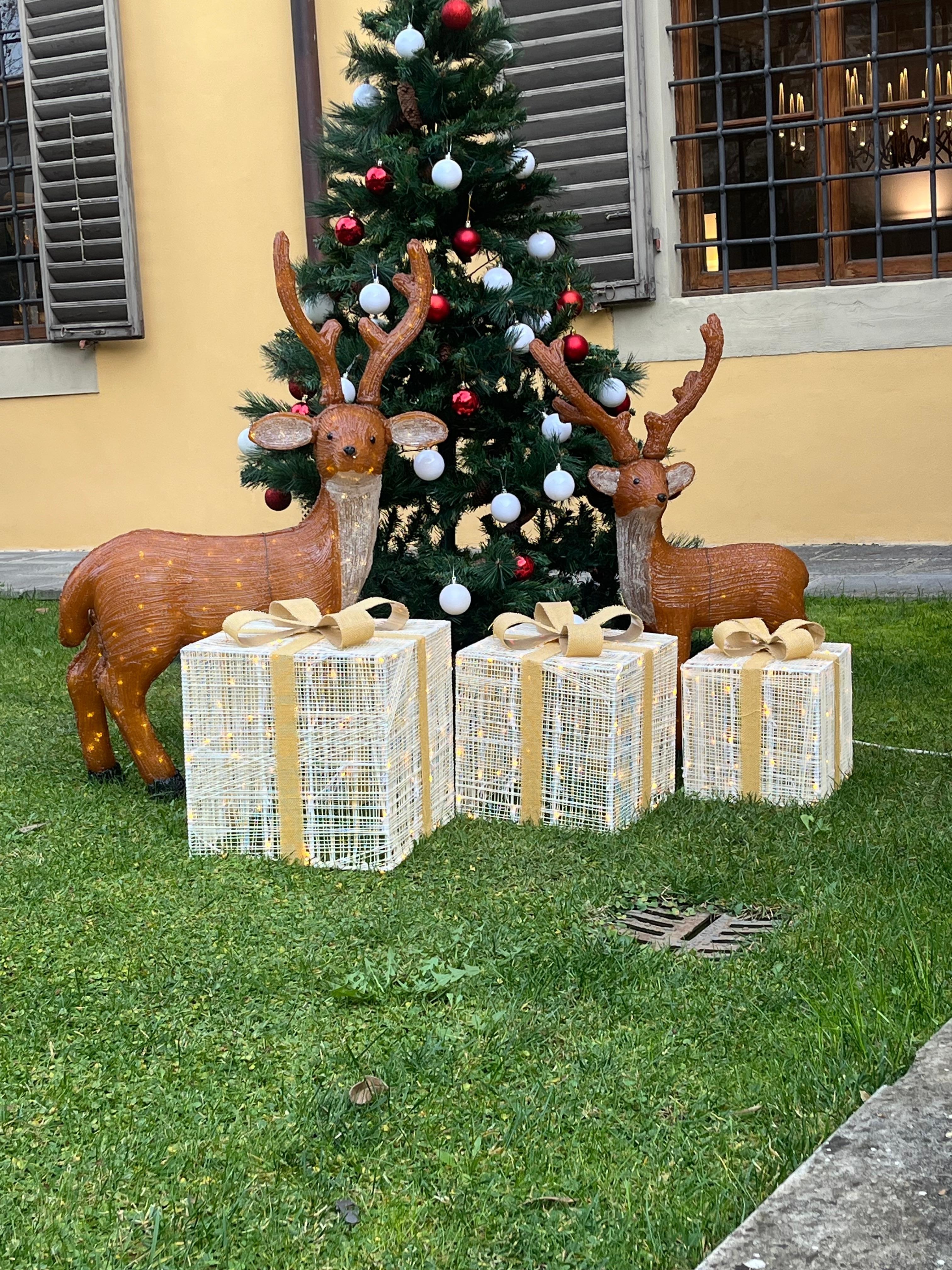 Outside Xmas display 