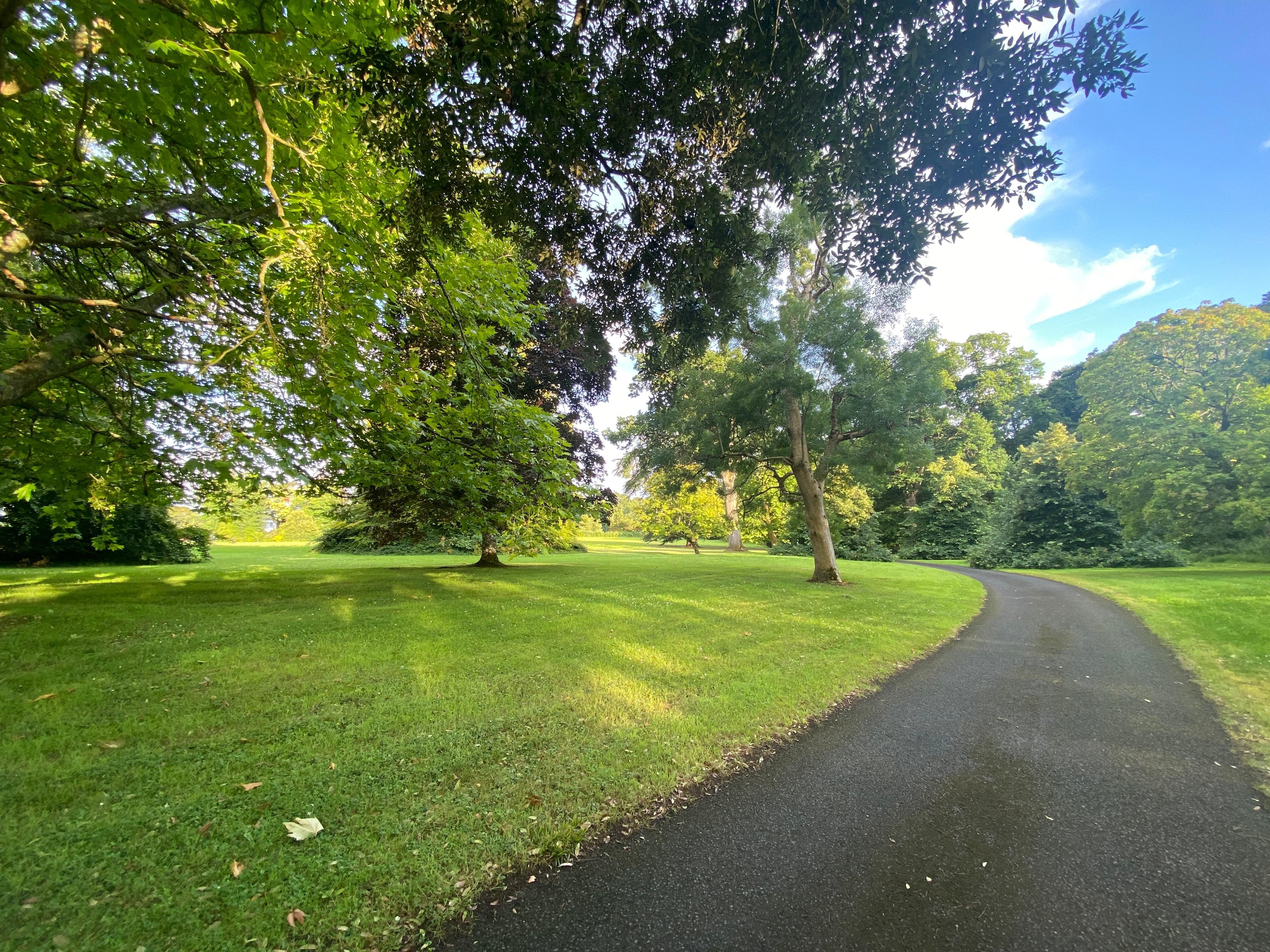 The drive and park