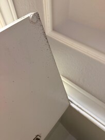 Black mold
