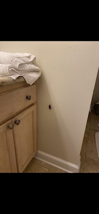 Roach on wall in hall bathroom