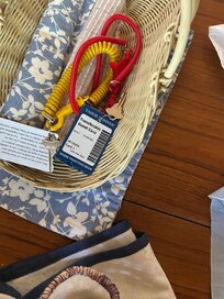 Expired access lanyards