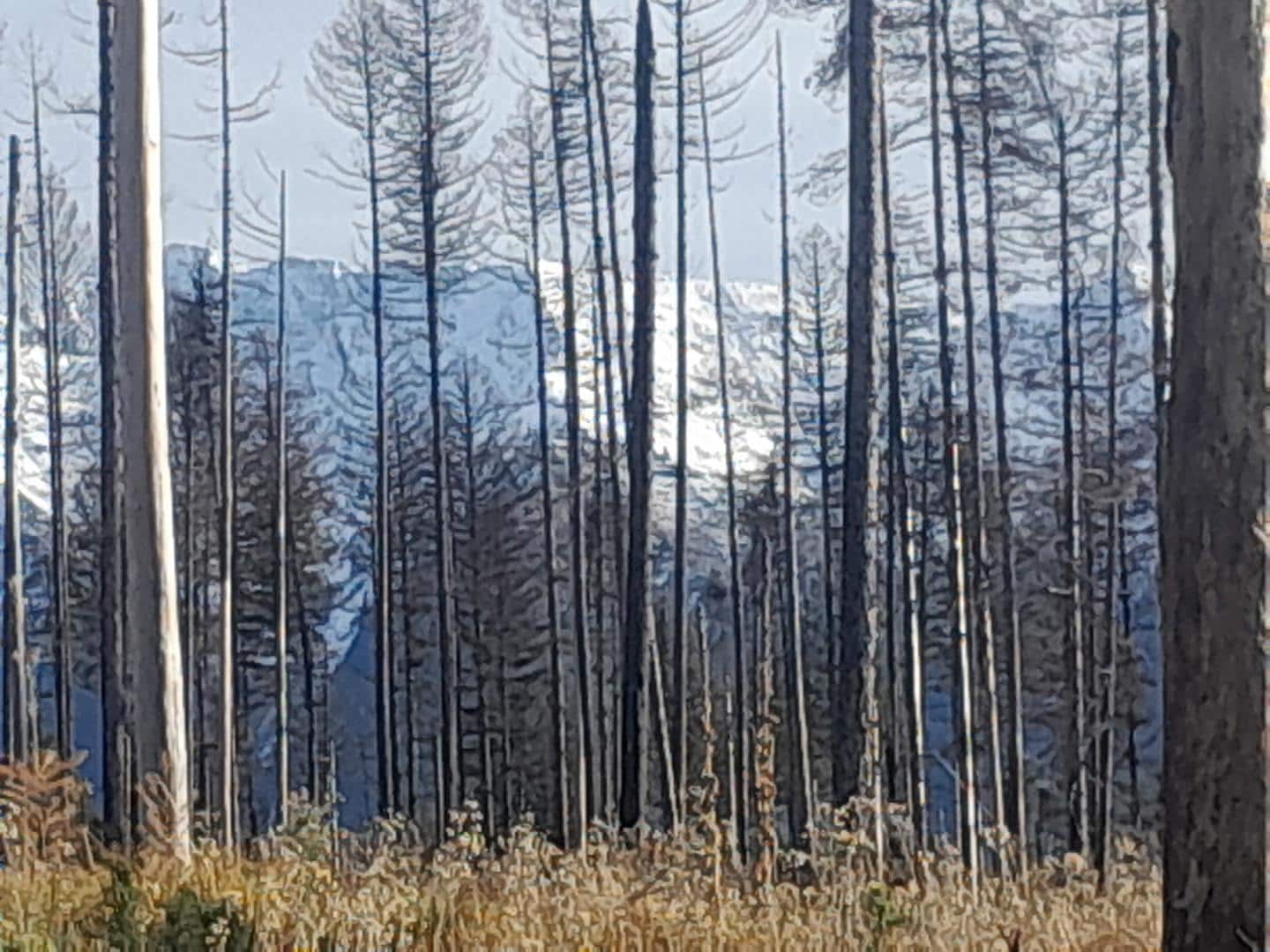 View of mountain peaks while hiking 
