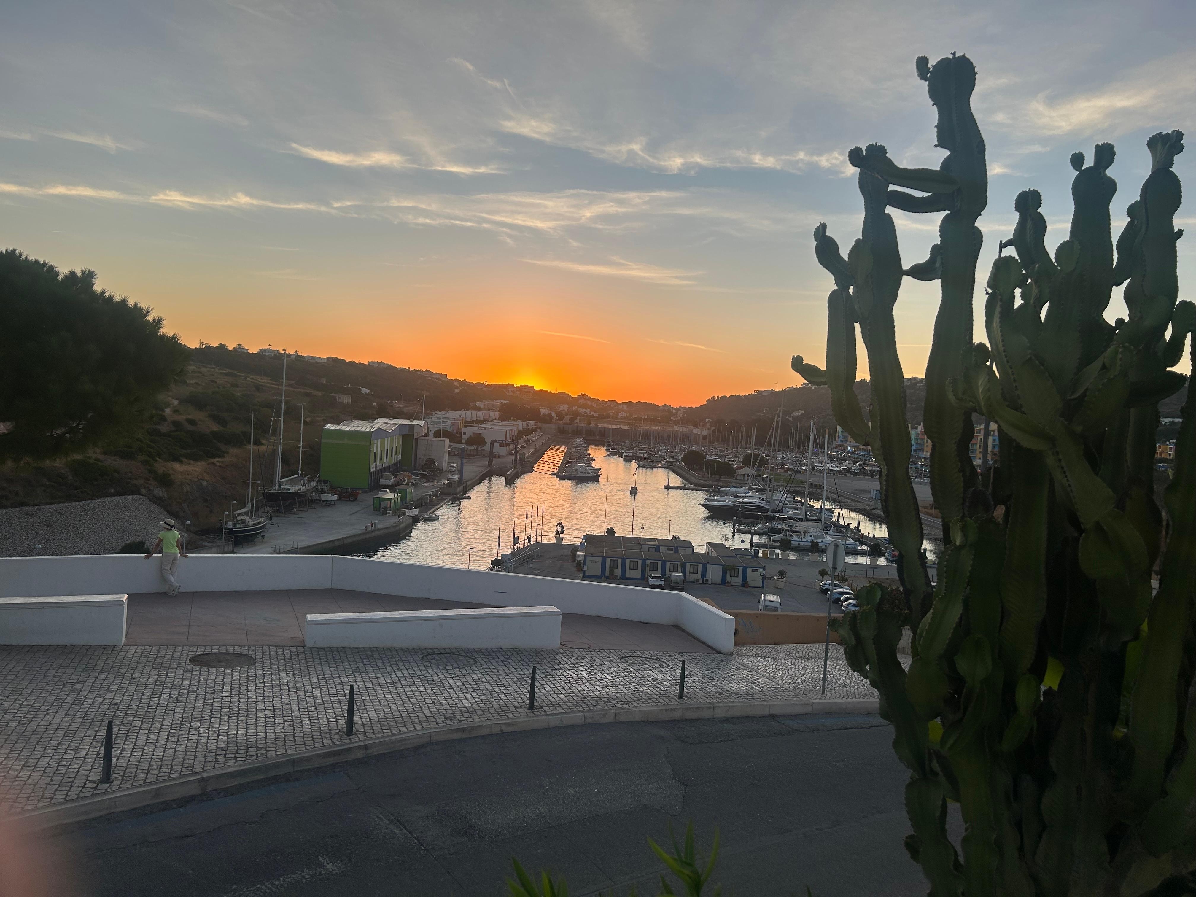 View of the area from the top of the hill