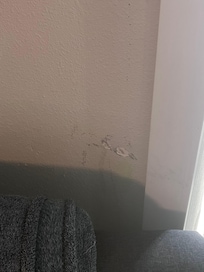 Scuff marks on the wall.