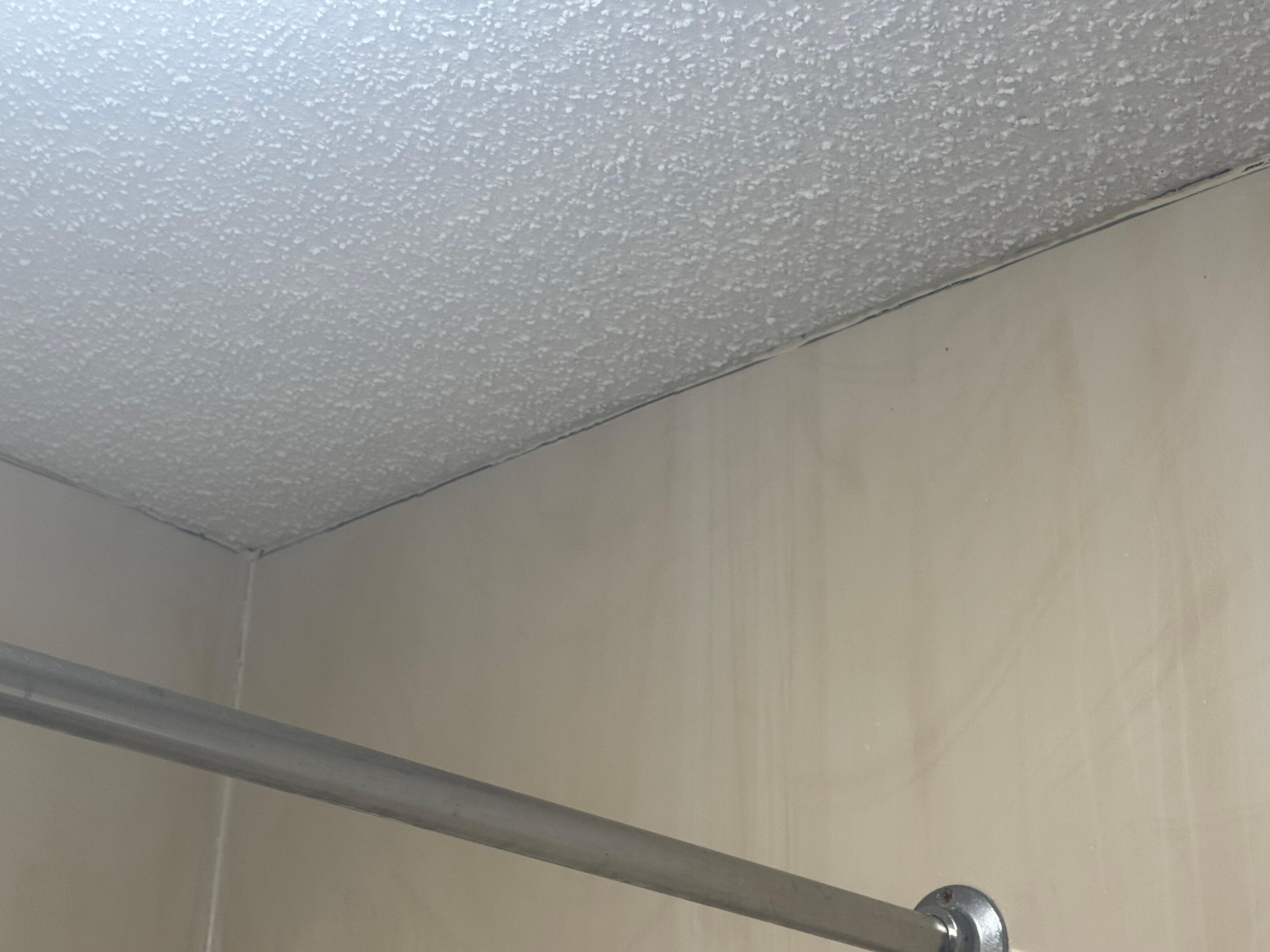 Shower ceiling