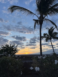 Backyard sunset
