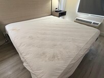 Disgusting mattress liner