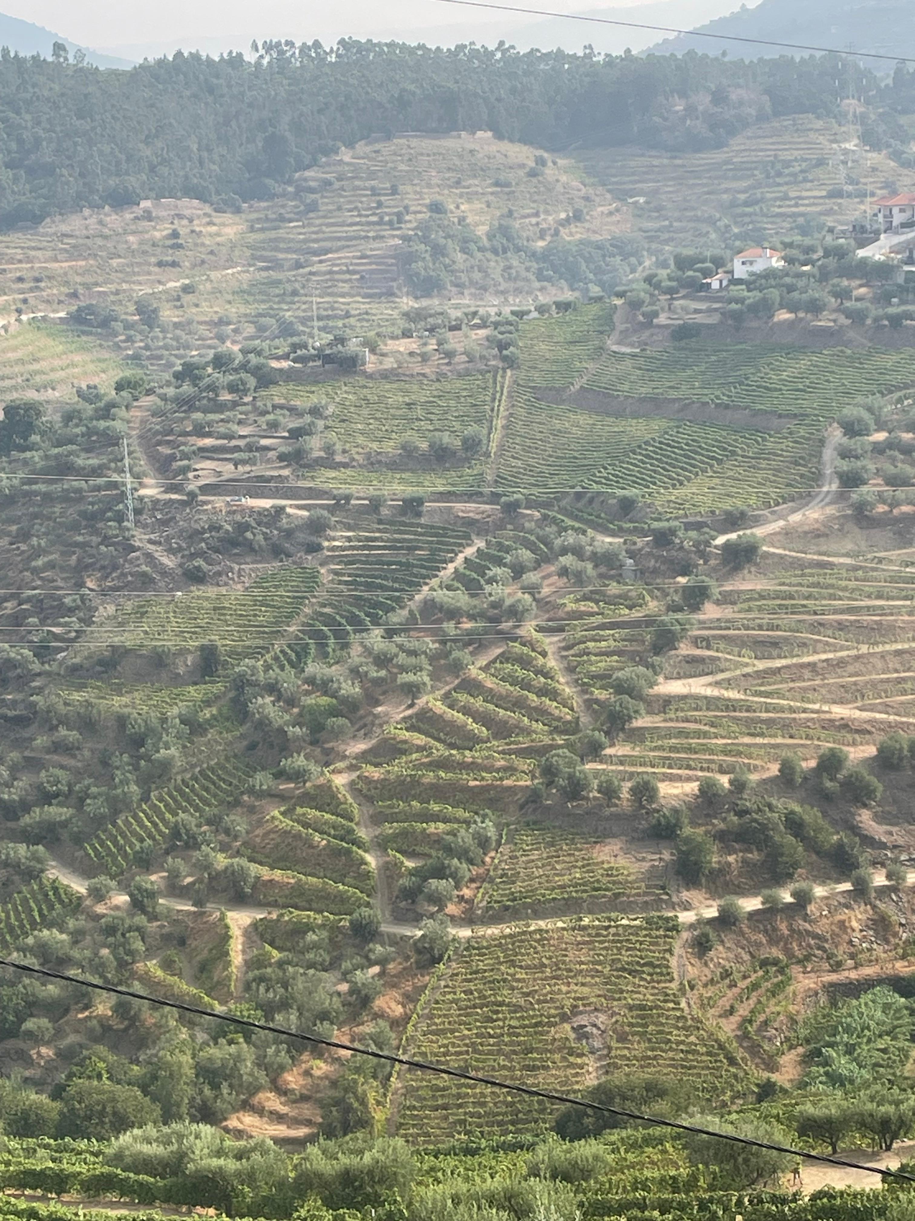 Vista desde la quinta