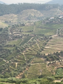 Vista desde la quinta