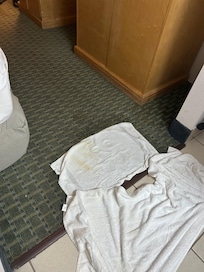 Floor literally wet when we checked in - we didn’t check in until 7:30 pm too but carpet was soaked