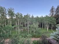 Front yard where we saw wildlife