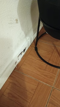 Mold
