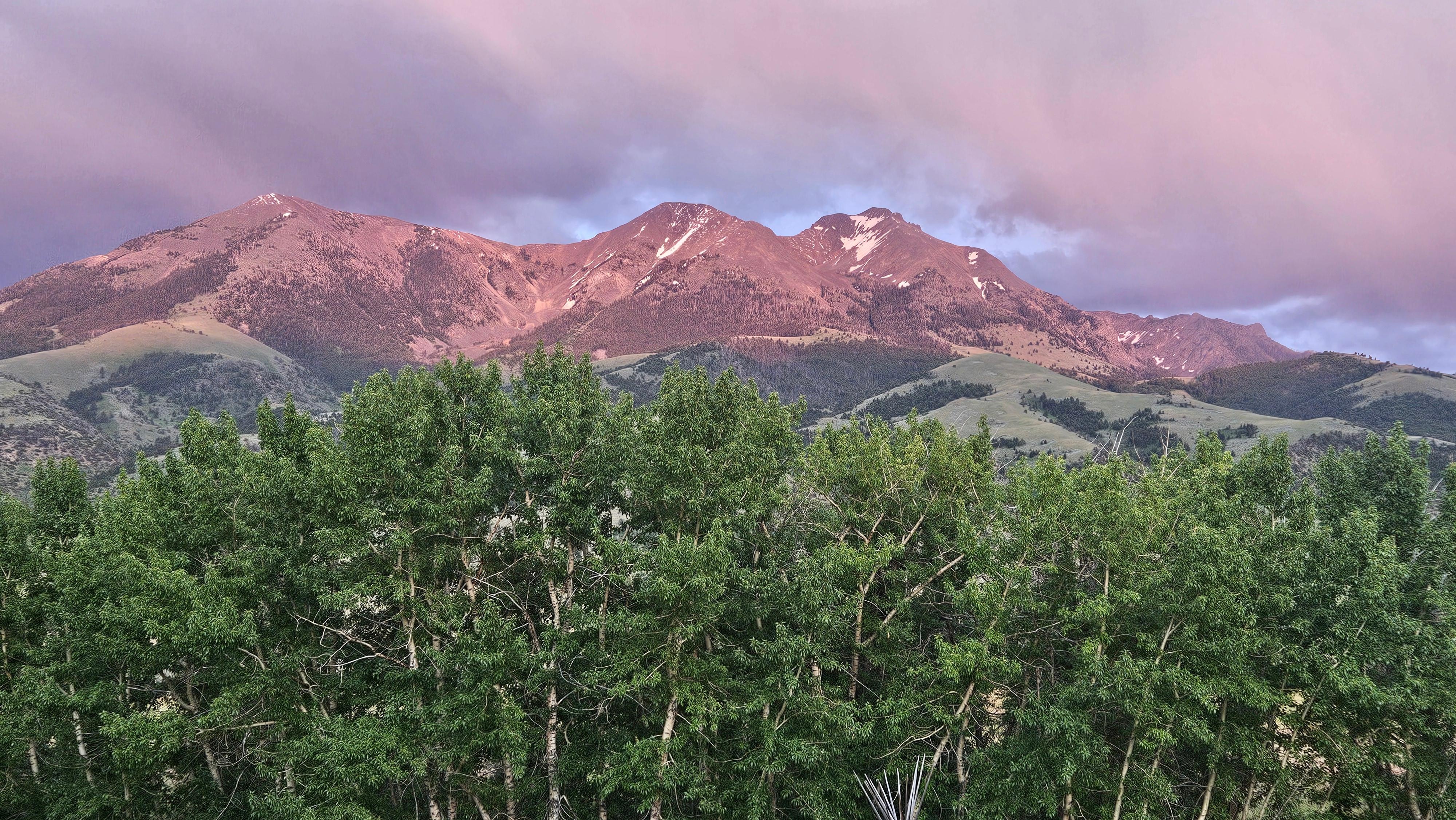 The view from the patio!