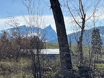 A view from the river looking back toward the property.