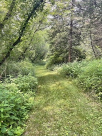 A beautiful trail to go hiking, just off the back yard.