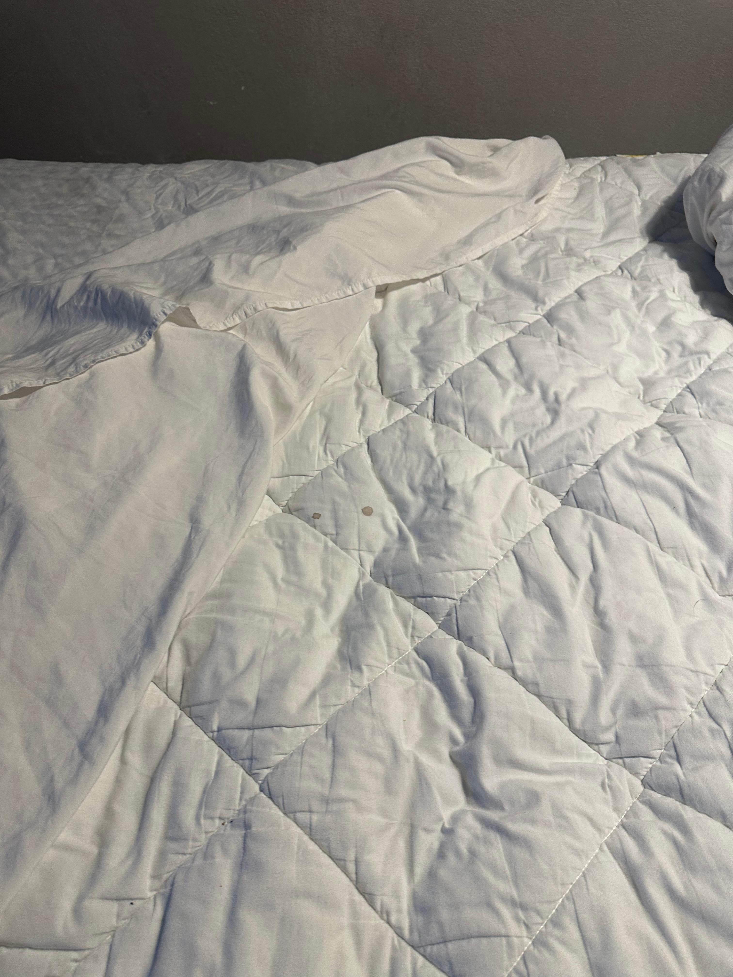 Mattress cover and sheet/comforter without a flat sheet