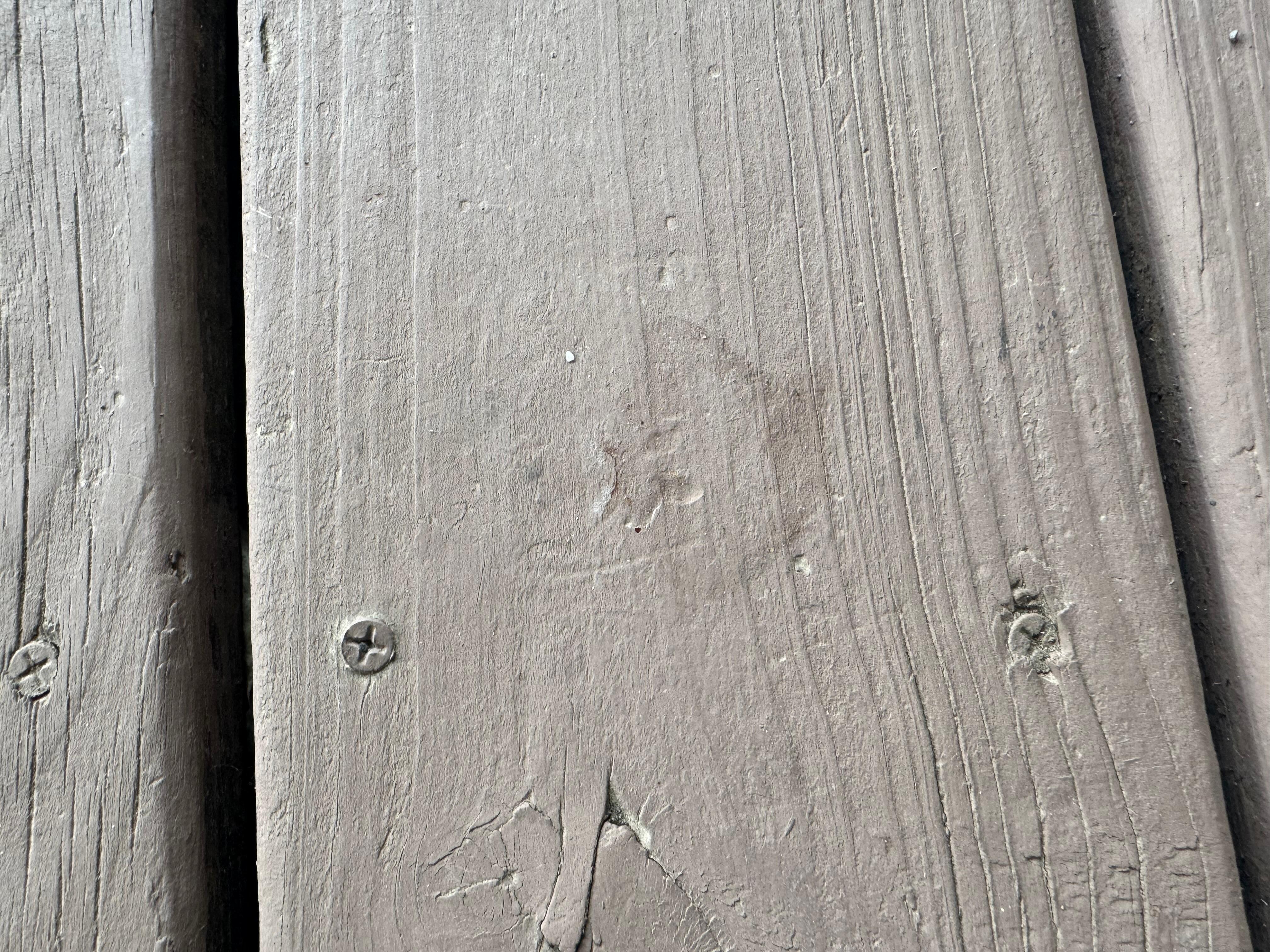 My grandsons mouth/teeth imprint in the deck