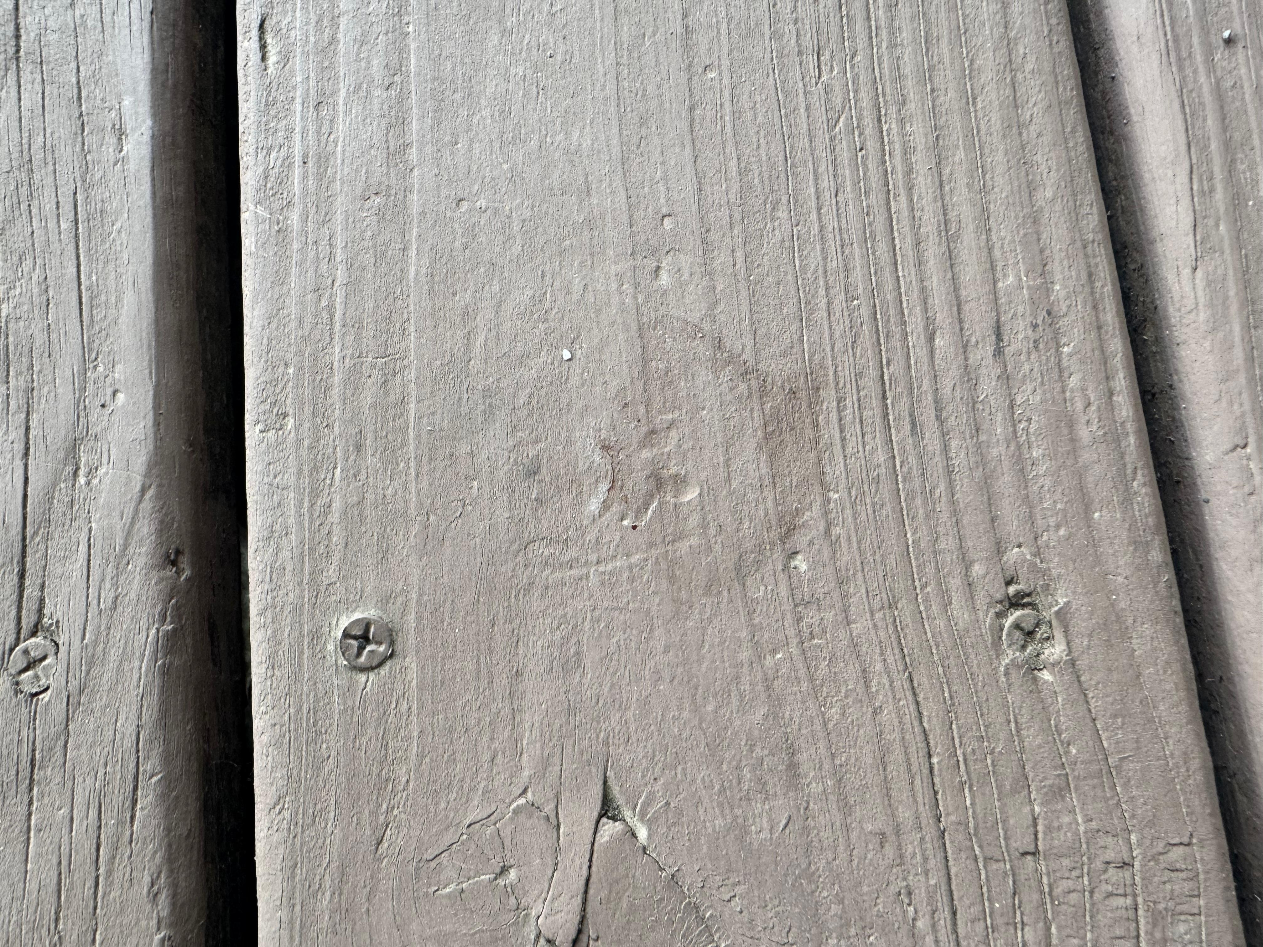 My grandsons mouth/teeth imprint in the deck