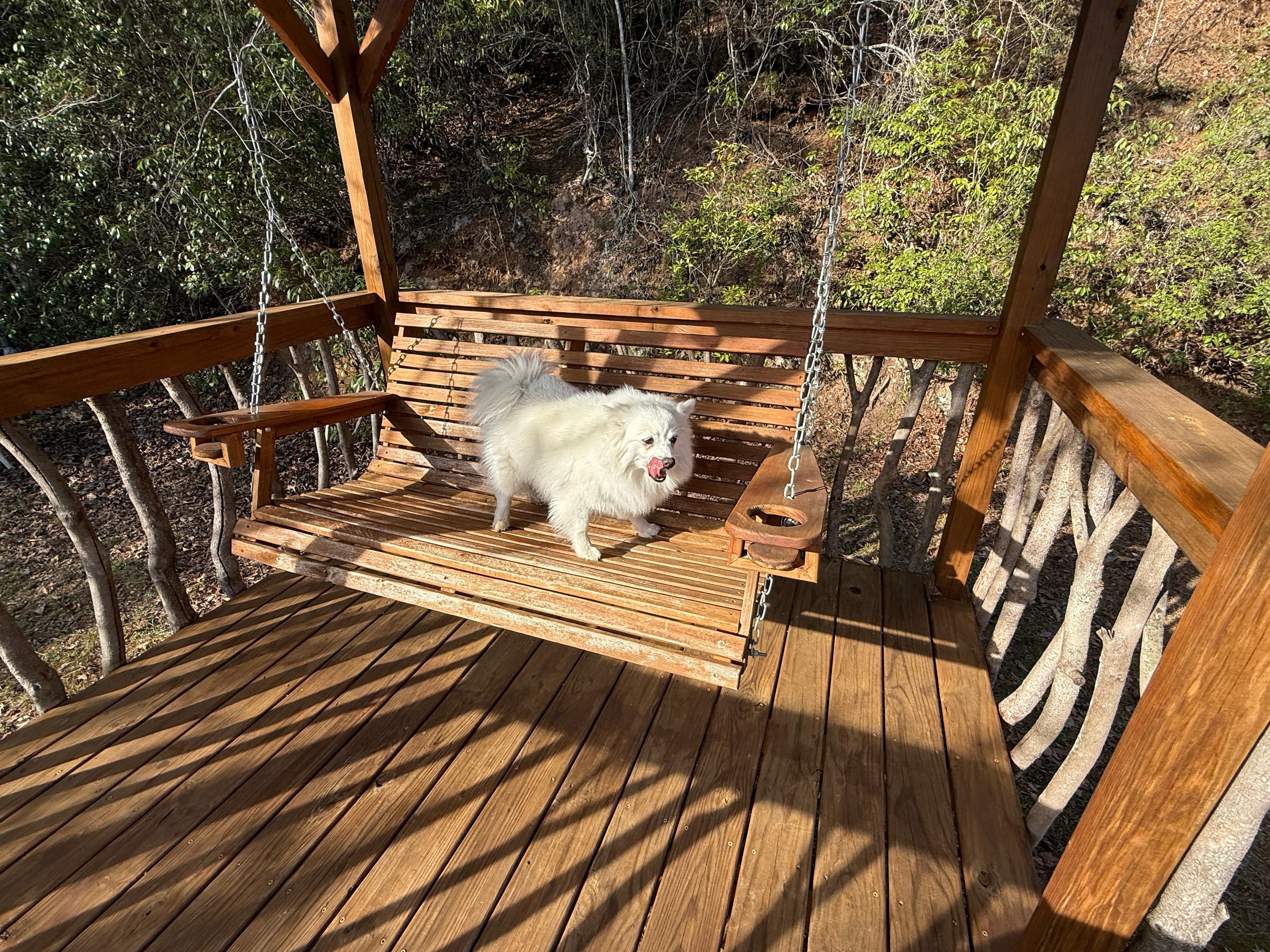 Rosie Joy loved the gazebo.