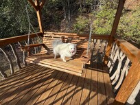 Rosie Joy loved the gazebo.