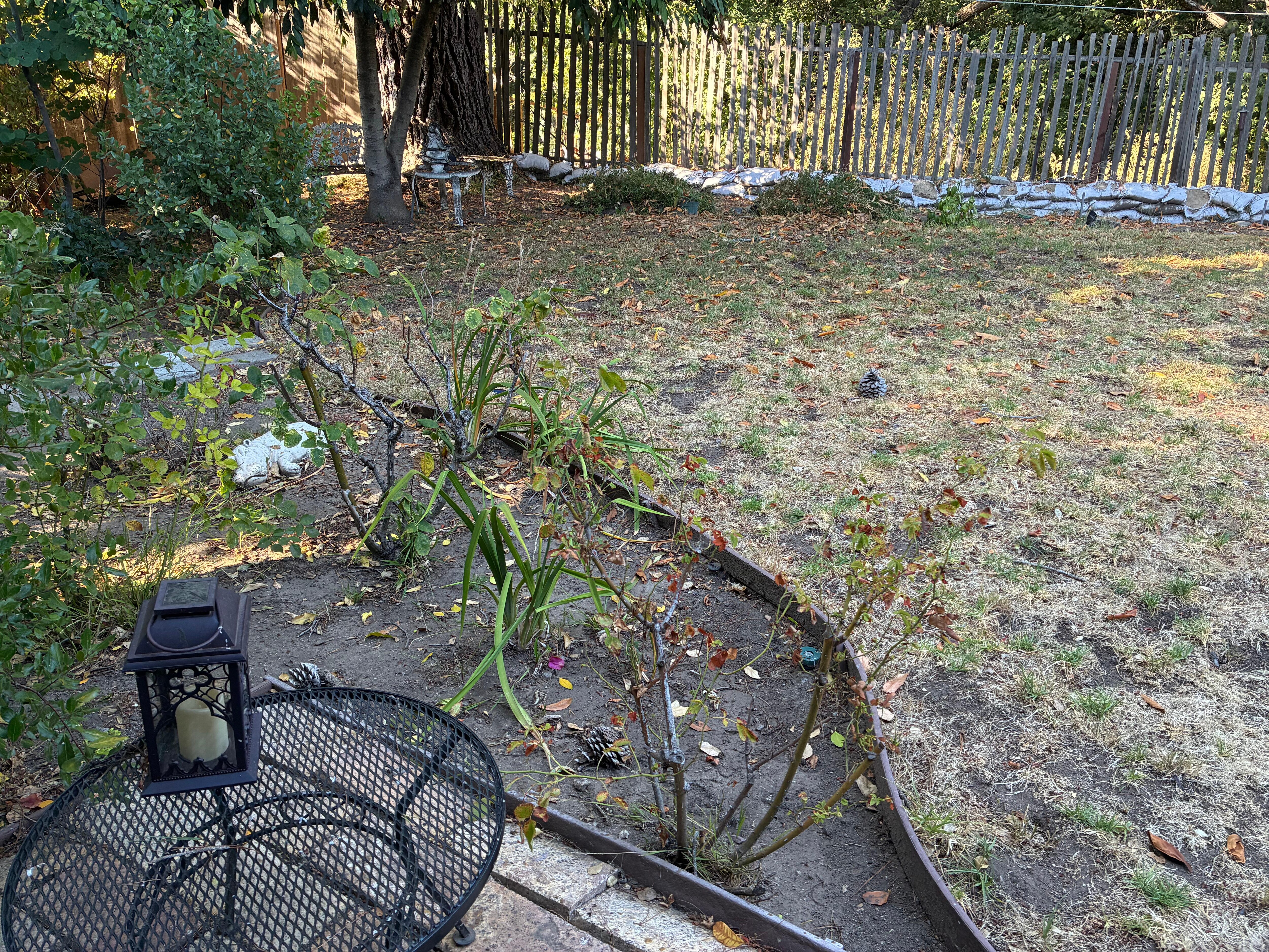 outdoors seating area at dead yard
