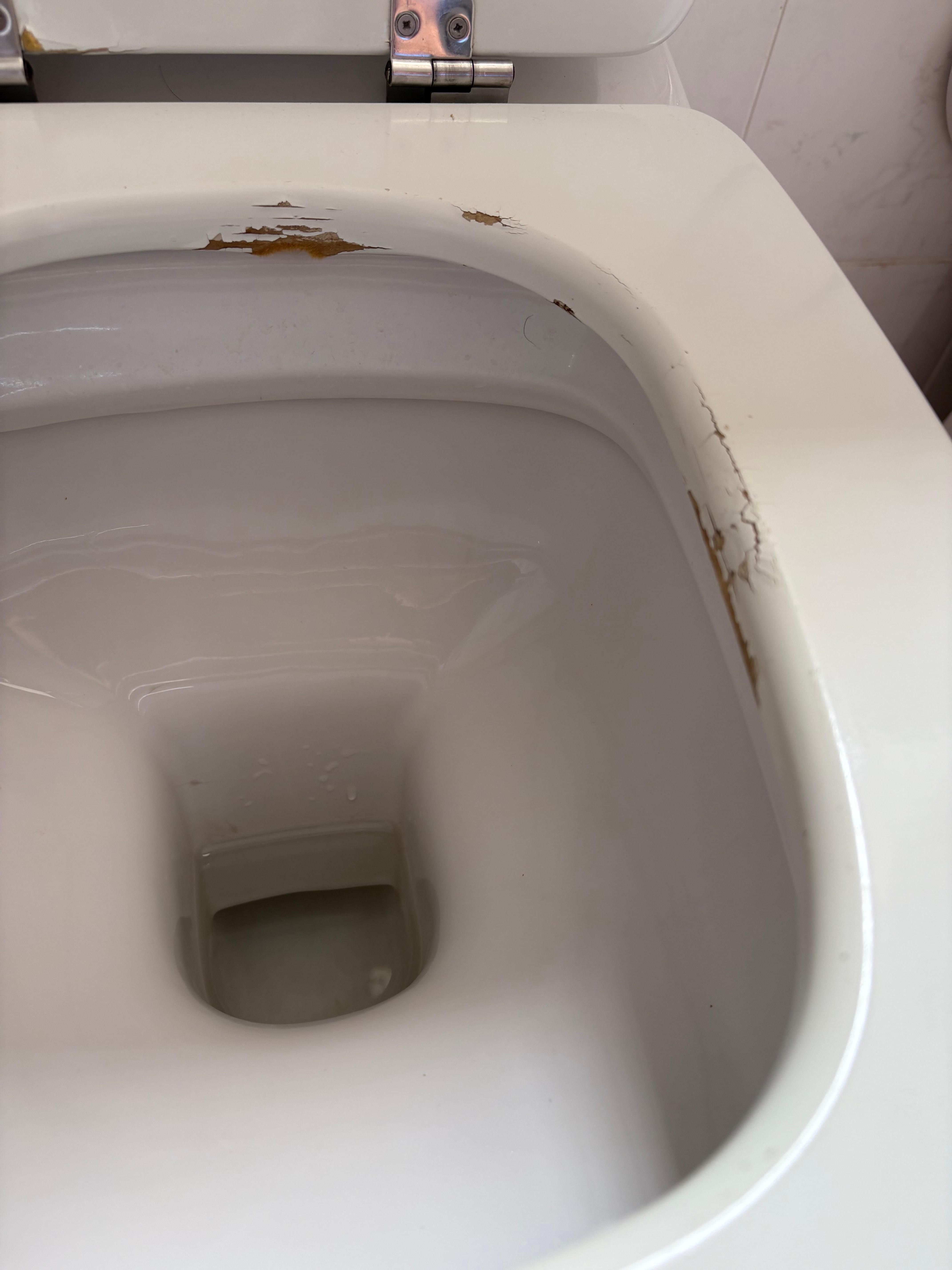 Damaged unhygienic toilet seats