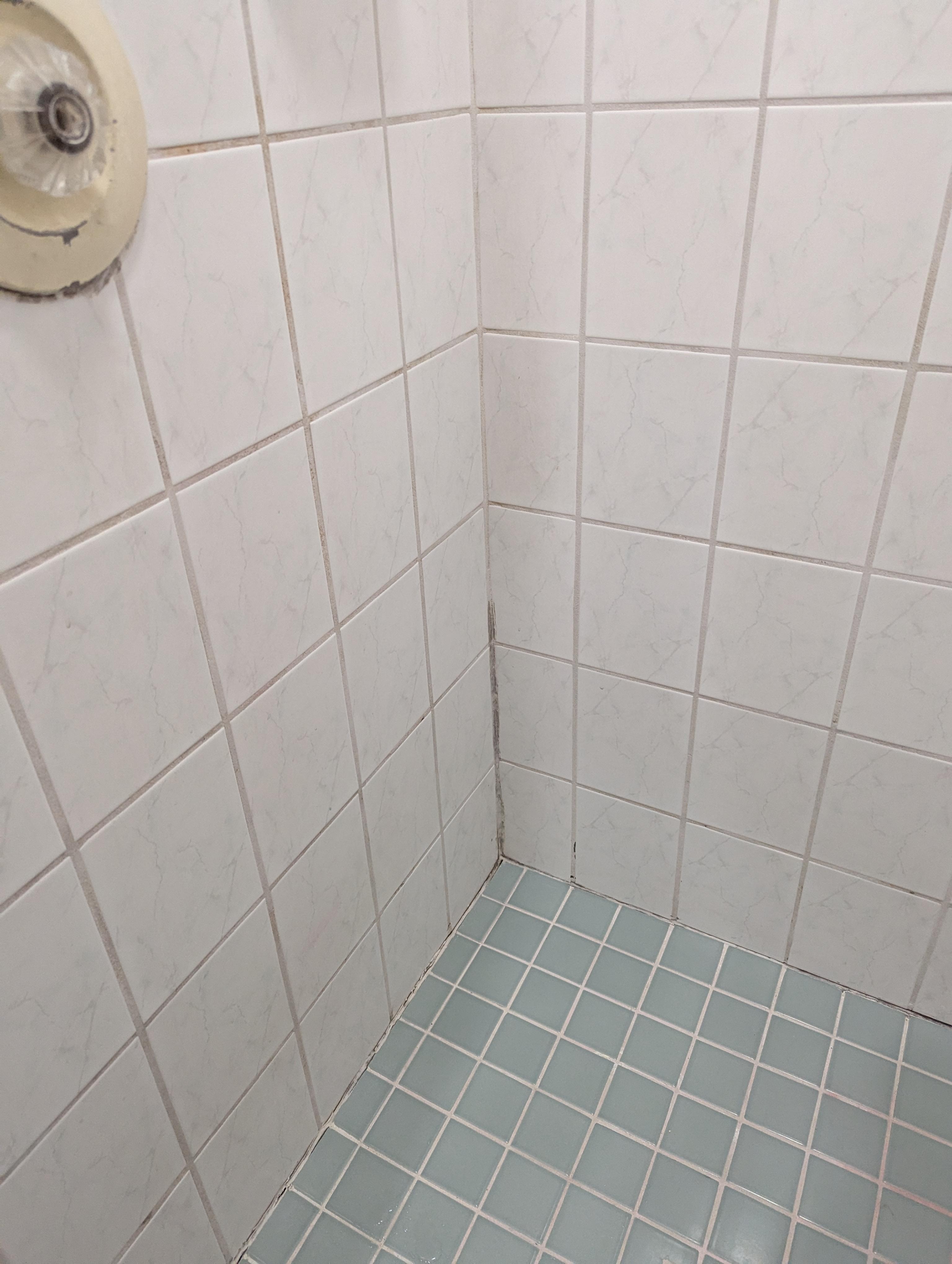 shower
