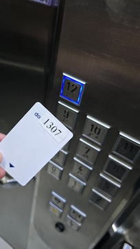 Um vetdadeiro puxadinho