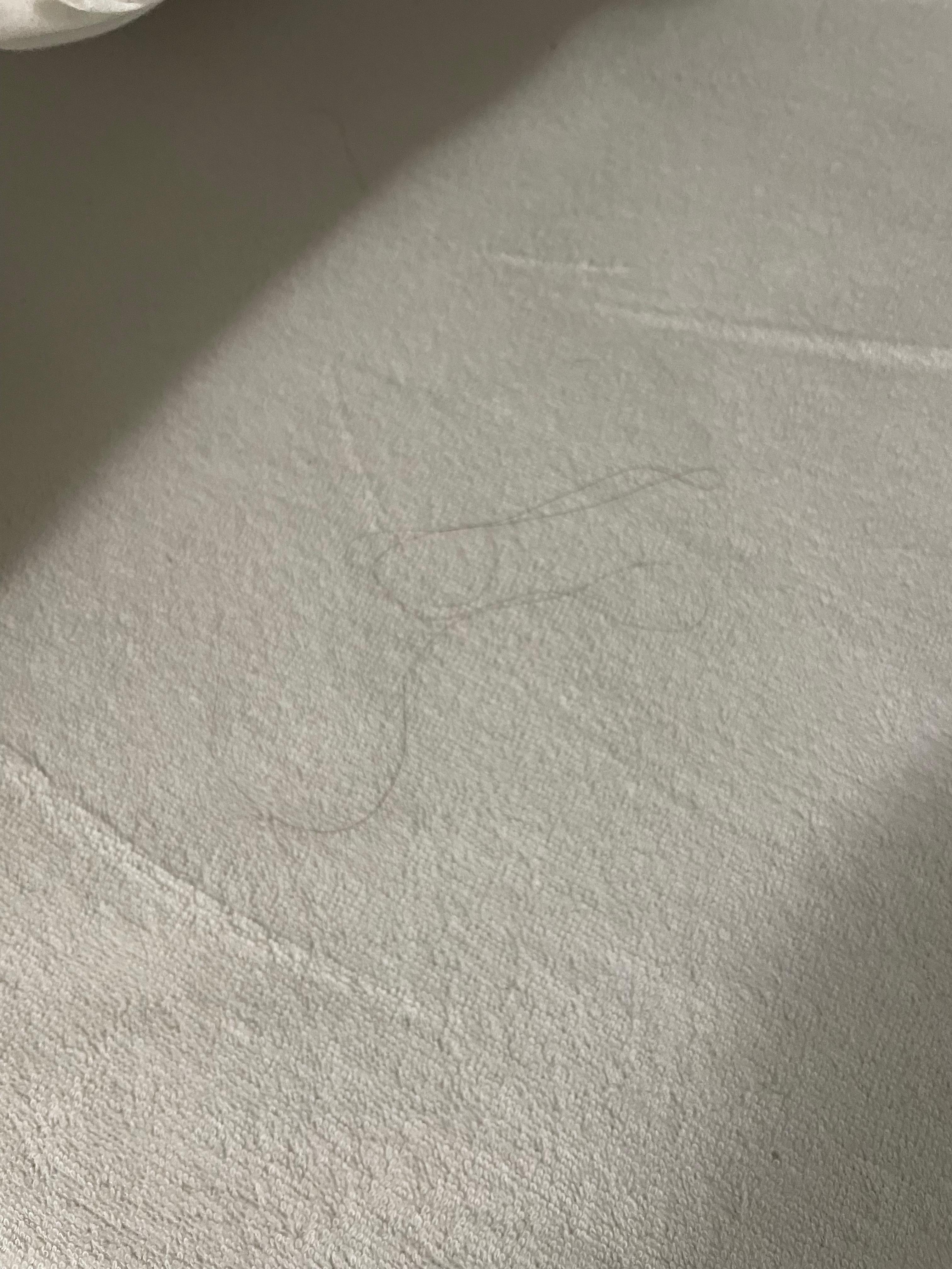 Female hair (not mine) on mattress protector