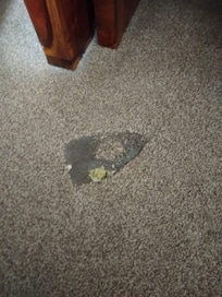 Bedroom carpet