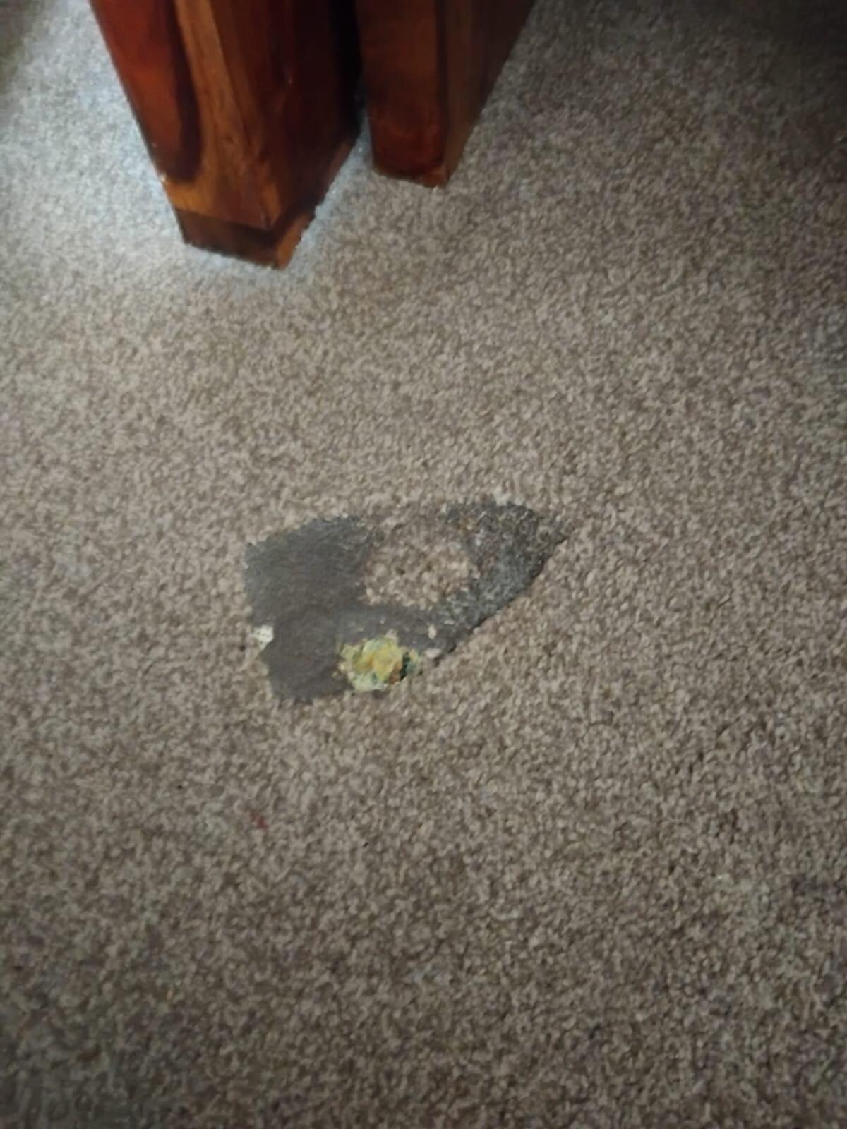 Bedroom carpet 