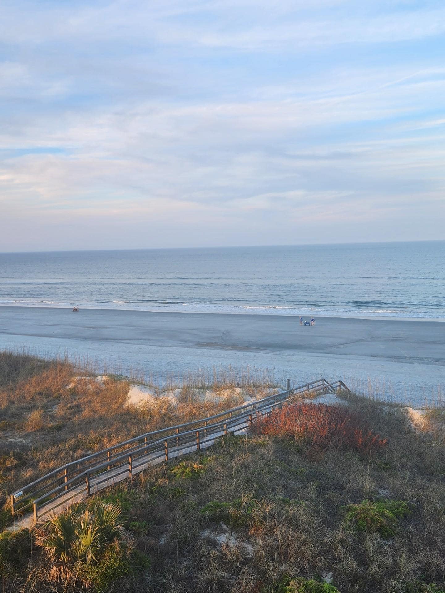 Path to beach viewed from the front porch. 