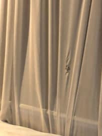 Ripped curtain